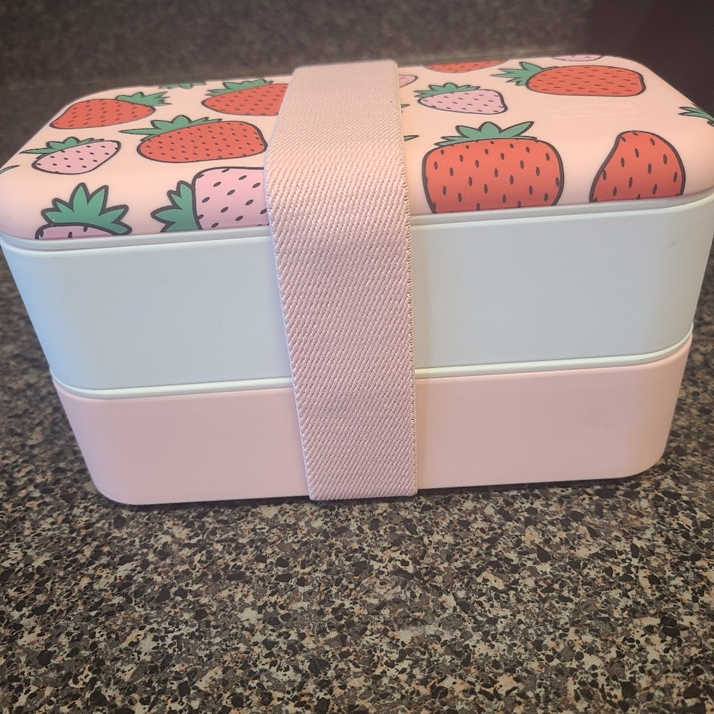 Strawberry bento box